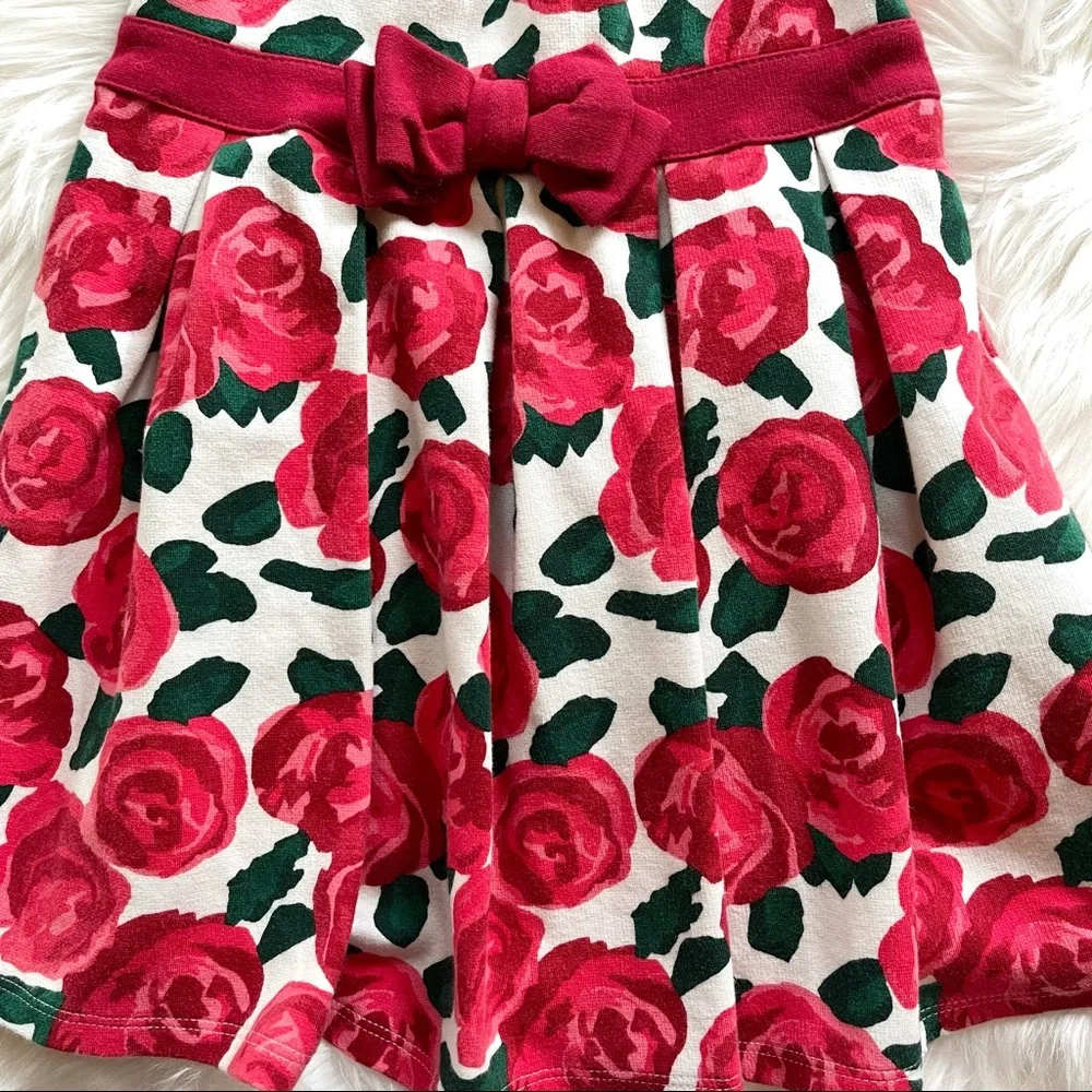 Gymboree Red Roses Dress